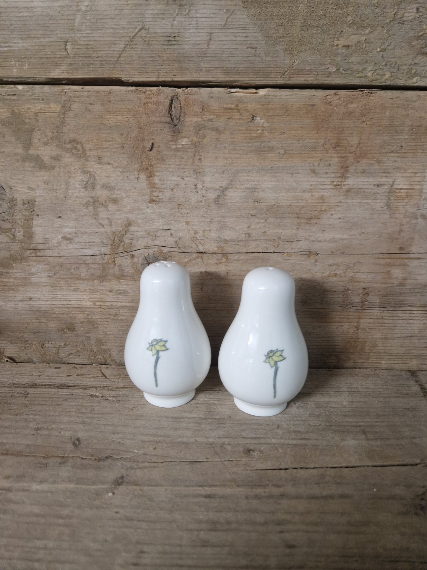 Daffodil Salt and Pepper set