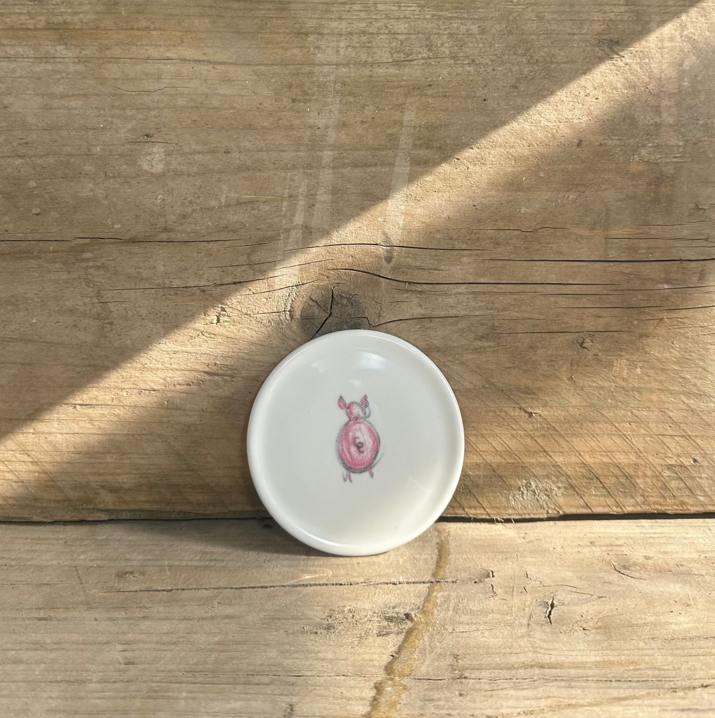 Penrose Piggies Coaster
