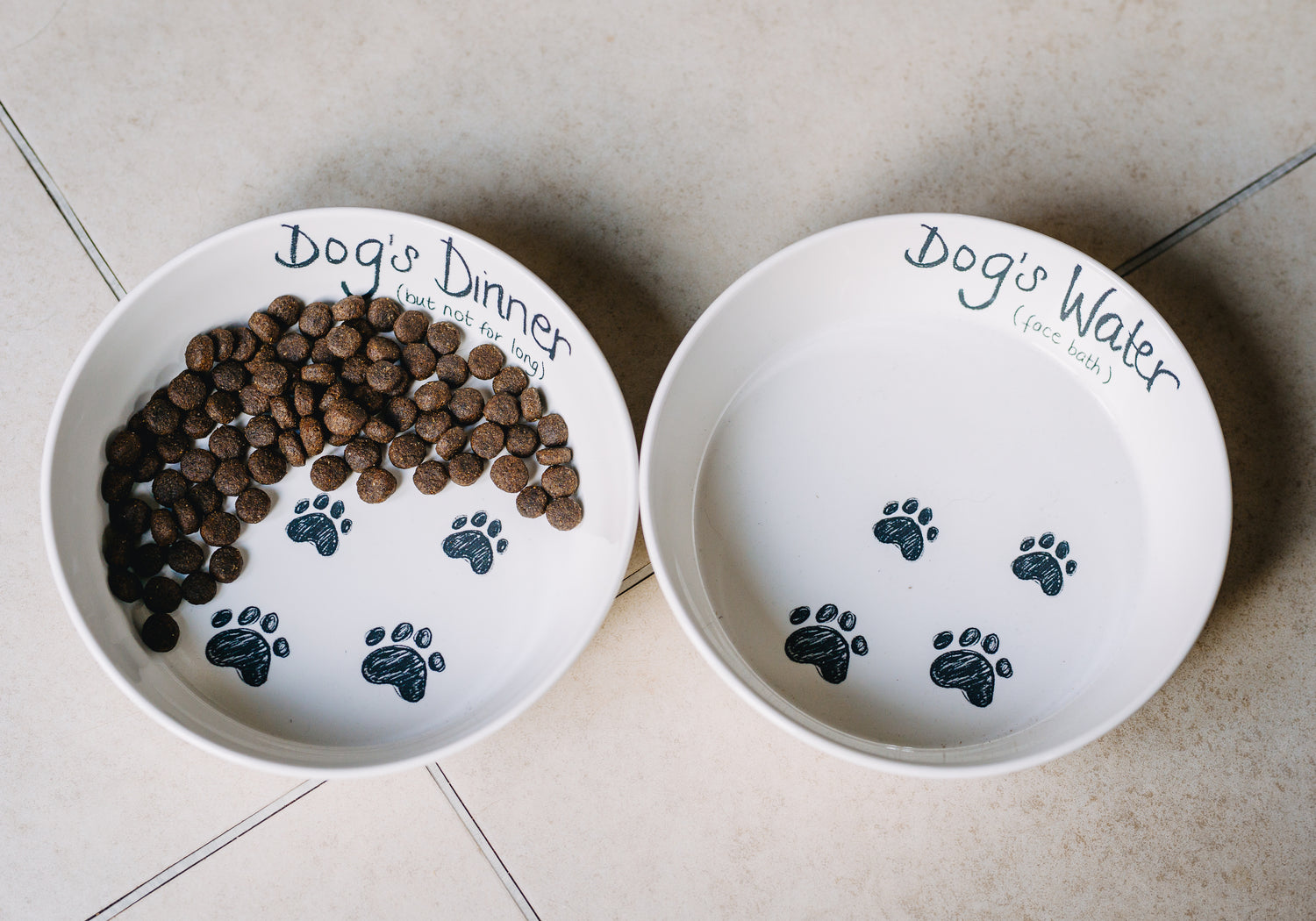 Pet Bowls
