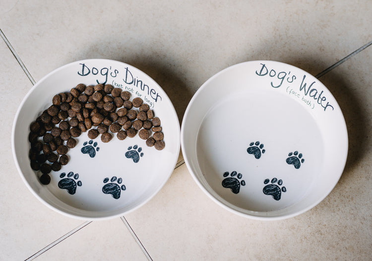 Pet Bowls