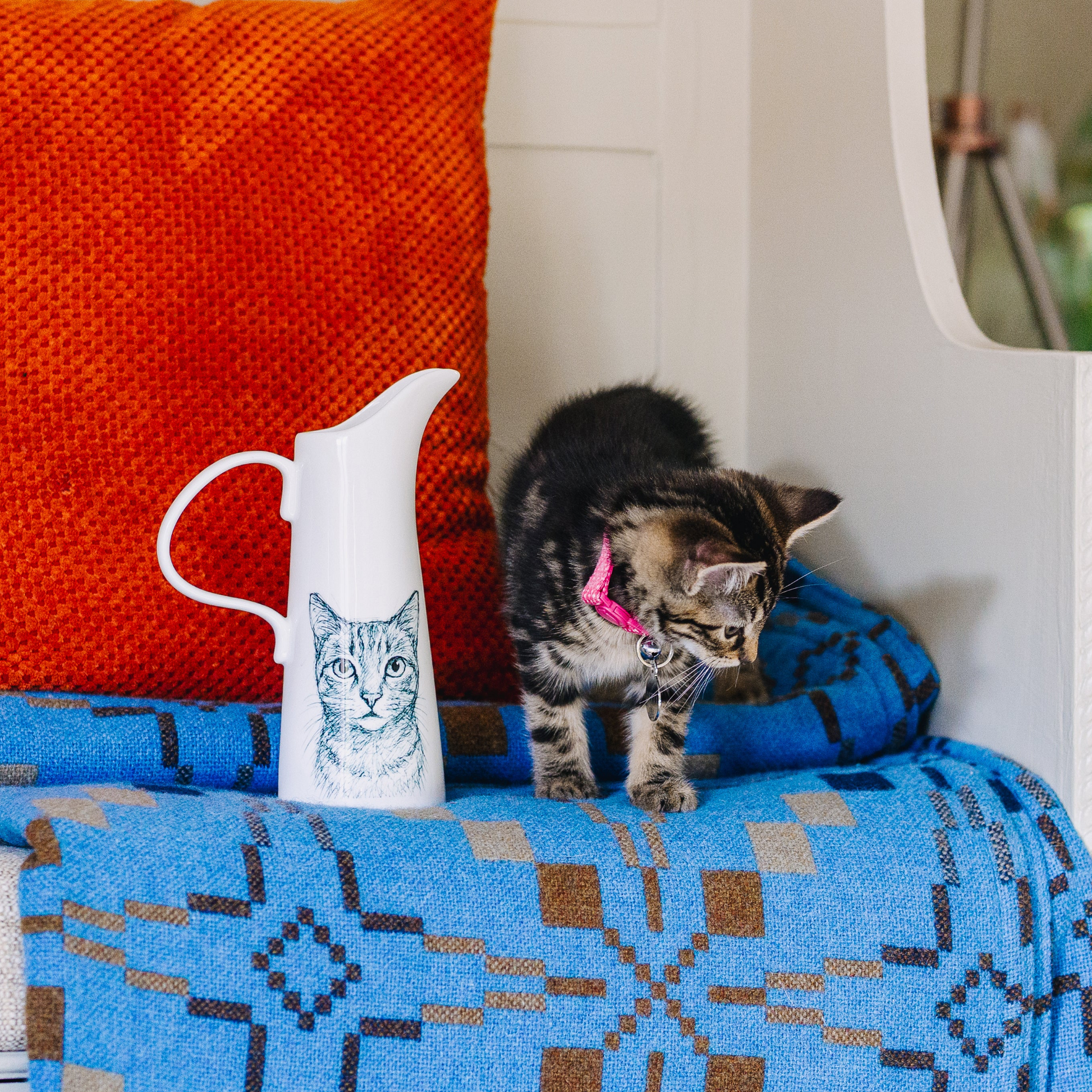 Kitten playing with a white pitcher on a blue patterned blanket with an orange pillow in the background.