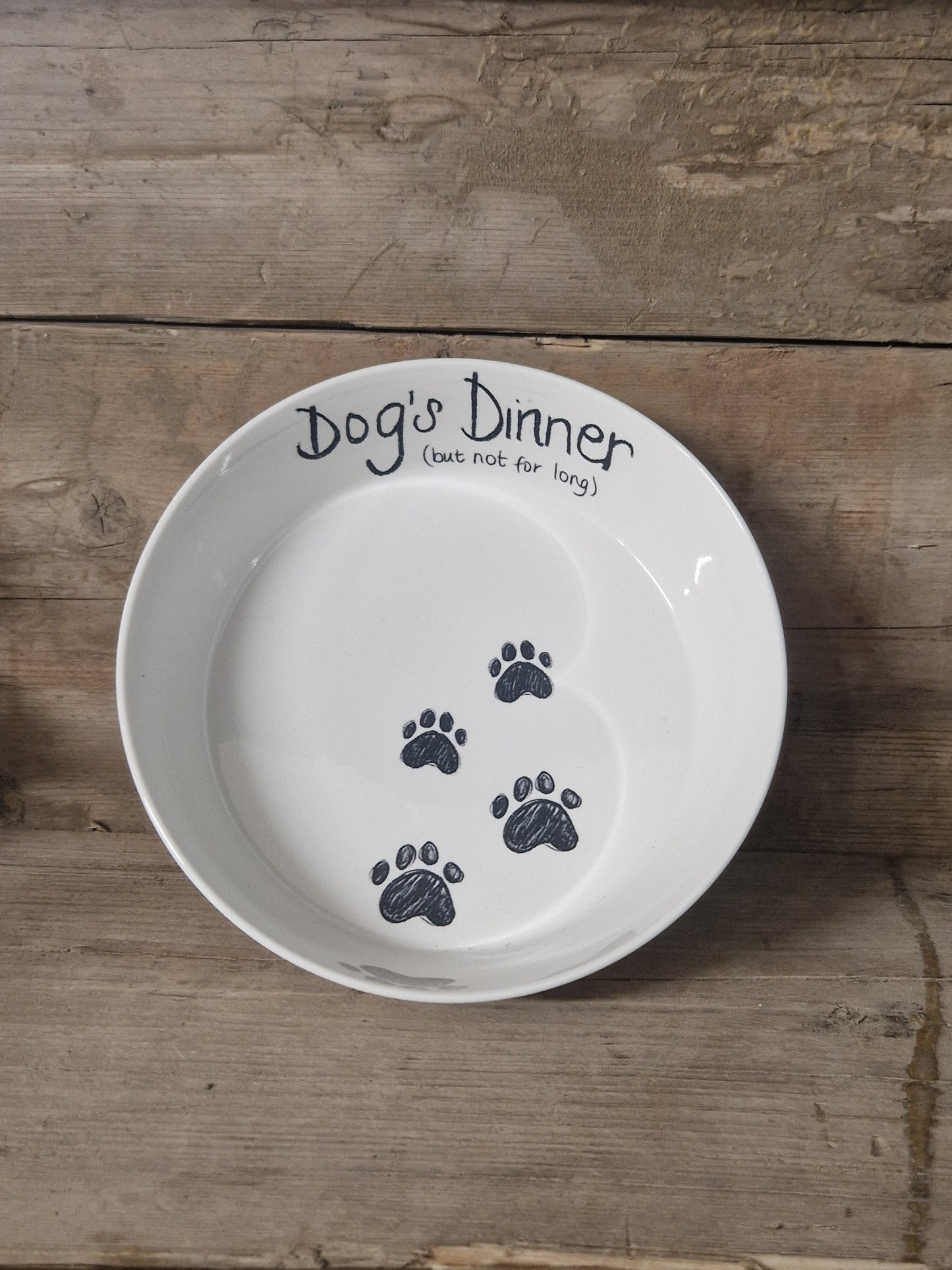 Large Pet Dinner Bowl